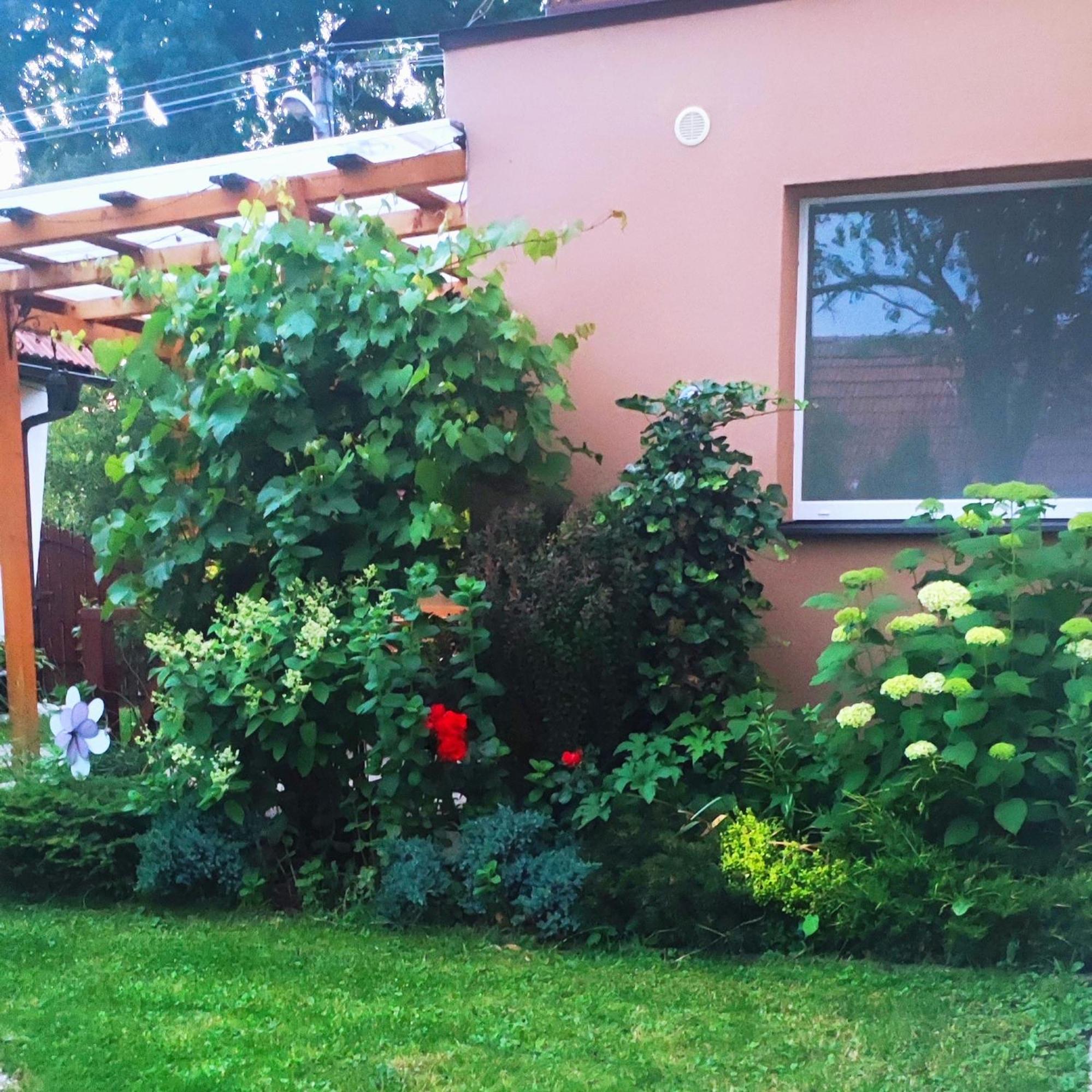 Voyage - Private Near The Demanovska Valley Liptovský Mikuláš Exterior foto